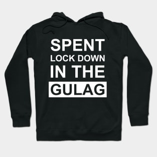 Spent Lock Down in the Gulag Warzone Hoodie